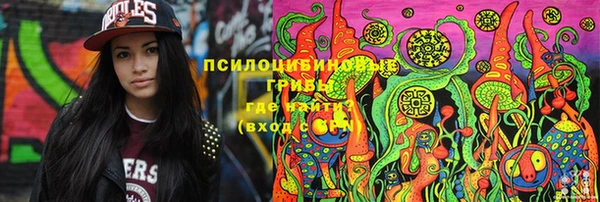 трава Няндома