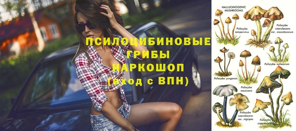 СК Нягань