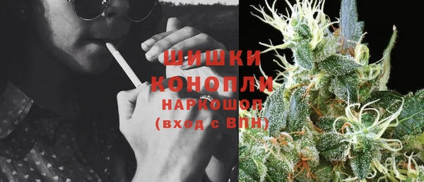 не бодяженный Новодвинск