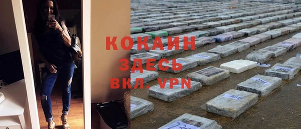 трава Няндома