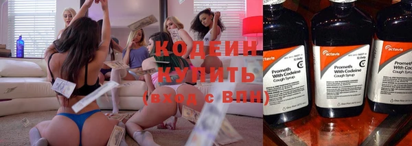 трава Няндома