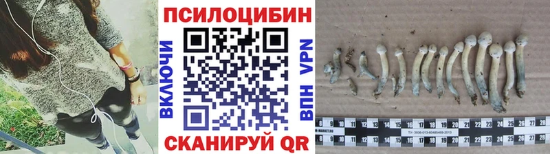 Галлюциногенные грибы мицелий Нарткала
