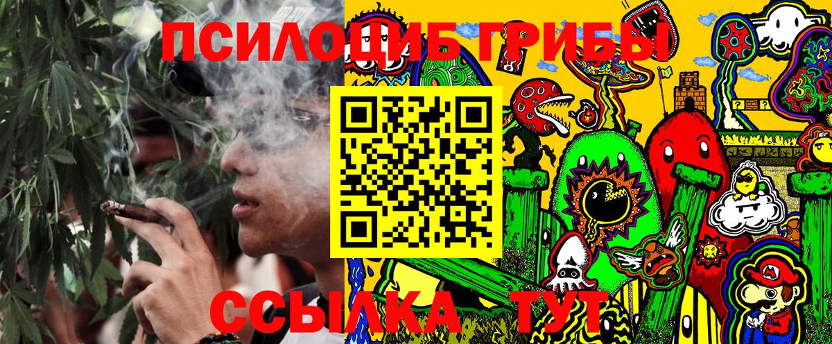 Псилоцибиновые грибы Psilocybine cubensis Нарткала