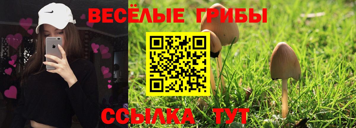 Псилоцибиновые грибы Psilocybe  Вход с VPN  Псилоцибиновые грибы Cubensis  Нарткала 
